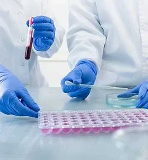 image_2026-03-01_02-22-17